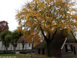 Museum Buisjan